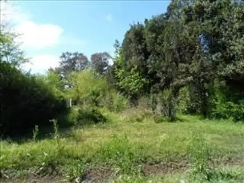 Terreno en Venta B° El Pinar