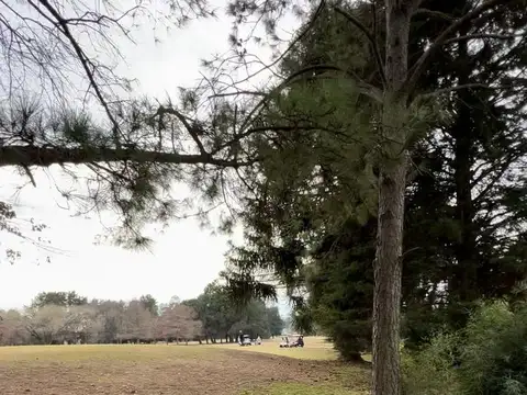 Terreno en Venta en Guernica, USD 45.000