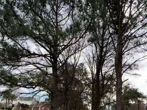 Av. Soberania Nacional al 600