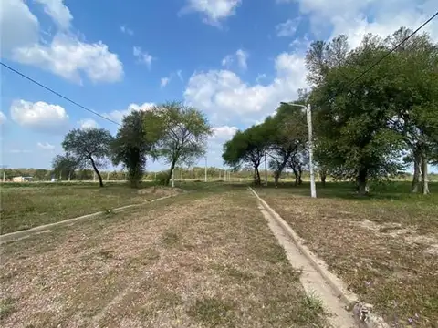 Ruta nacional 11 1000