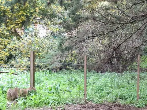 Terreno en Venta de 475,0 m2