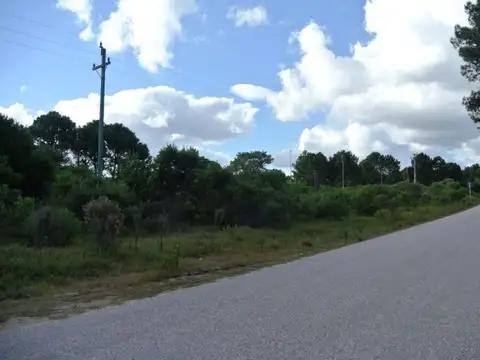 Terreno en Venta en Punta Ballena, USD 78.000