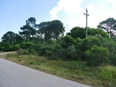 Venta lote en Chihuahua - Punta Ballena