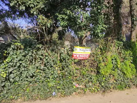 Avenida San Martin 3300