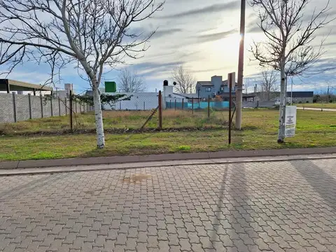 Bv Tierra De Sueños