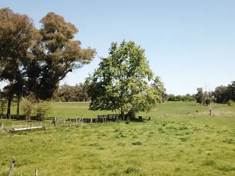 24,5 has. Chacra en Pilar