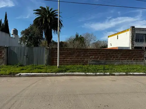 Zona Céntrica - Todos los servicios