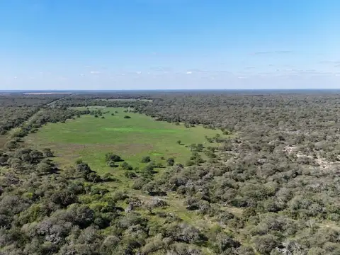 Campo en Venta de 1.039  ha