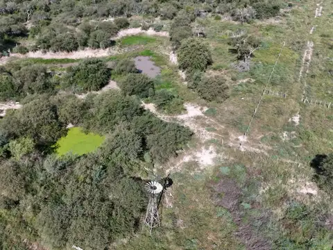 Campo en Venta Ganadero