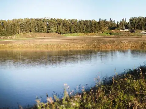 VENTA Lote 797 mts Barrio La Paloma, Mar del Plata