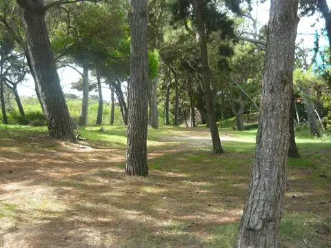 Terreno en Venta 10  mts Frente