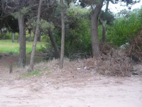 Terreno en Venta 10  mts Fondo