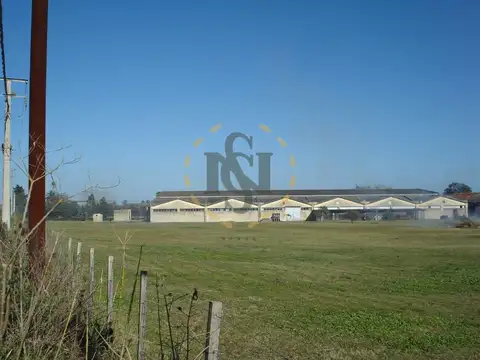 ALQUILER GALPON RUTA 8 , prox CANELONES