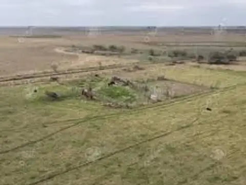 VENTA DE CAMPO LAVALLE-JOCOLI MENDOZA