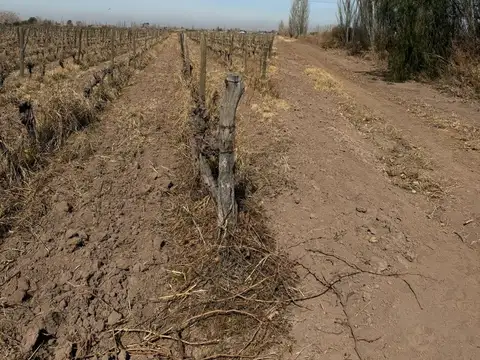 Finca de 24 has en venta en Las Heras, Mendoza