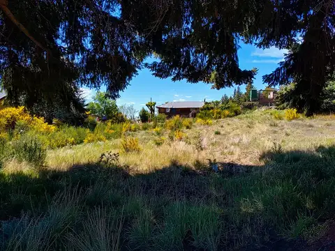 Terreno en Venta en Dina Huapi, USD 39.900