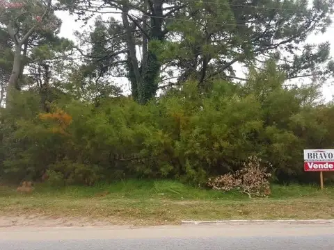 Terreno en Venta 10  mts Frente