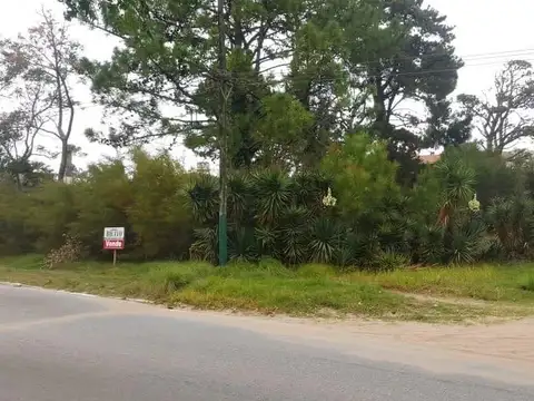 Avenida 5 y Paseo 100