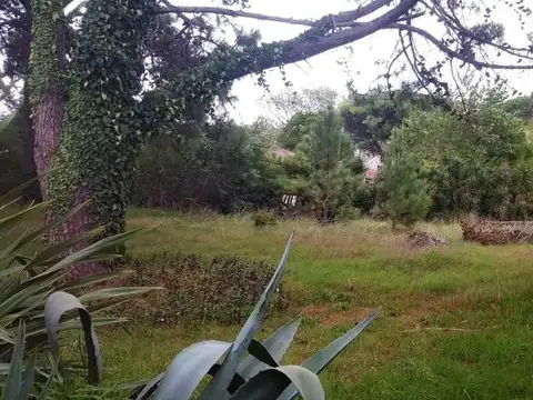 Terreno en Venta 10  mts Fondo