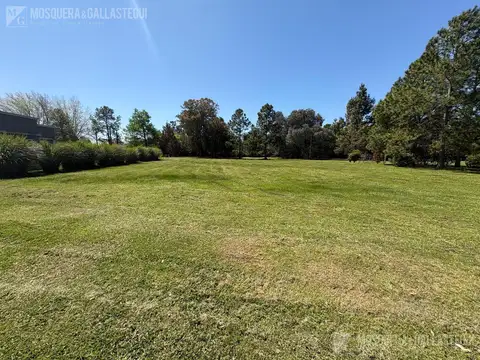 Casuarinas del Pilar 37