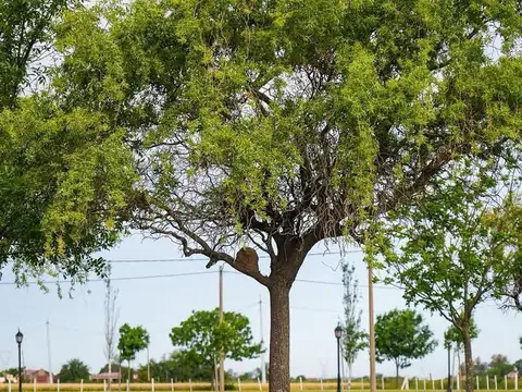 Casa en Venta 1 año