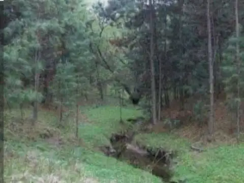 LOS PARAISOS S/N 100