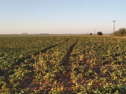 Campo en Clason - agricola