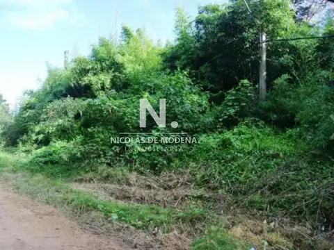 En venta terreno 1525 m2 , en Golf - Punta del Este