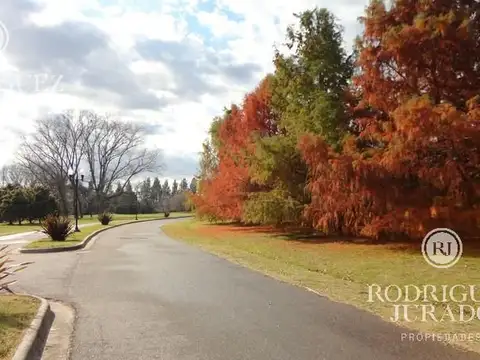 Terreno - Haras San Pablo