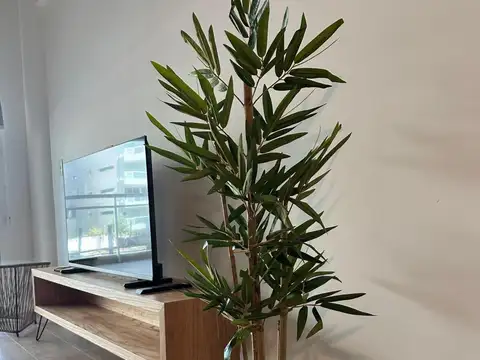 Departamento en Alquiler en Belgrano, USD 800