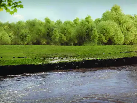 Fracción en Río Carcarañá