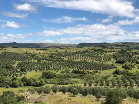 Parque La Tahona Ruta AI 100 100