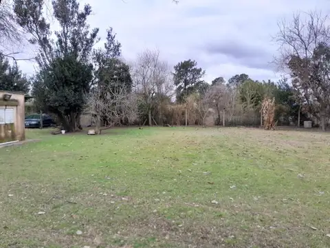 Avenida las Baleares Y PJE los cardos SAUCE VIEJO 100