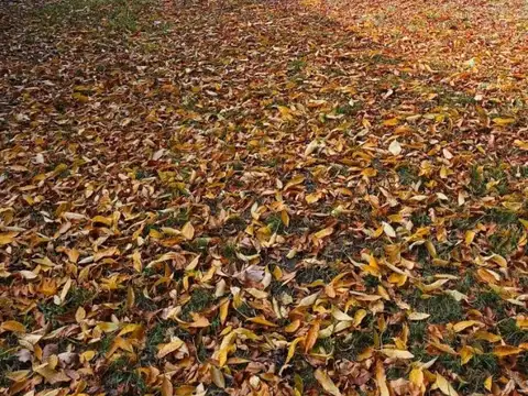 Terreno en Venta 15  mts Frente