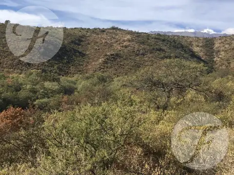 San Javier (cba) I Campo 18.5 ha