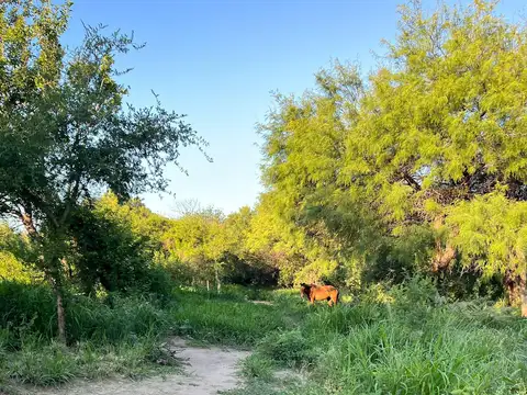 Terreno en Venta 20  mts Frente