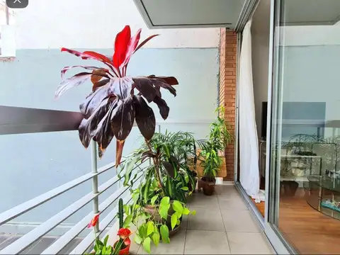 Departamento  en Venta en Las Cañitas, Capital Federal, Buenos Aires