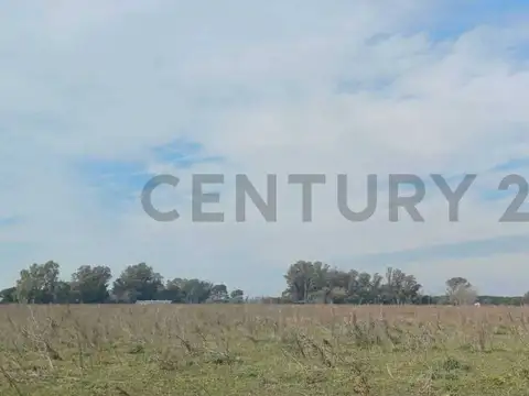 Ruta Nacional 6 , Piso 0