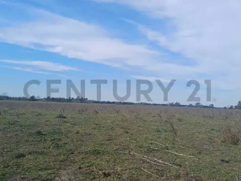 Campo de 21 hectáreas Luján, camino a Etchegoyen