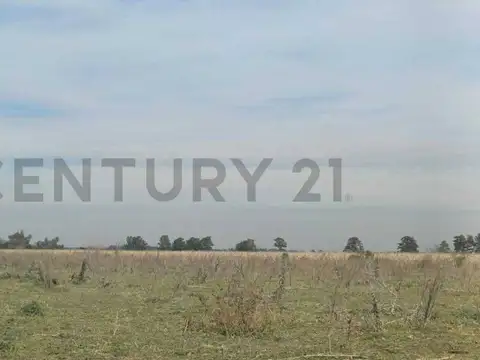 Campo de 21 hectáreas Luján, camino a Etchegoyen