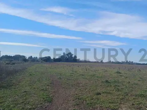 Campo de 21 hectáreas Luján, camino a Etchegoyen