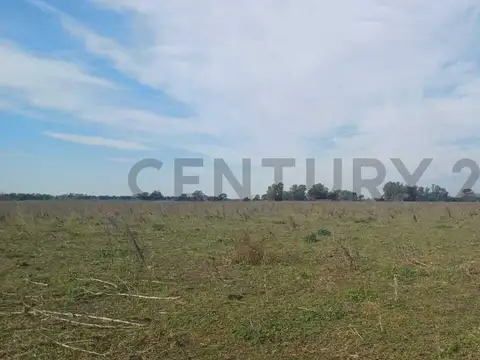 Ruta Nacional 6 , Piso 0