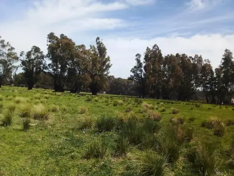 Terreno en Venta en Tres Arroyos, USD 40.000