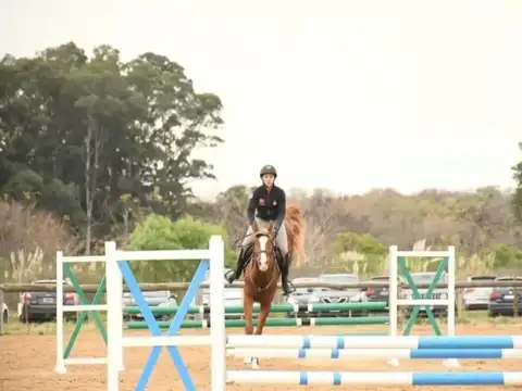 Terreno en Venta 16  mts Frente