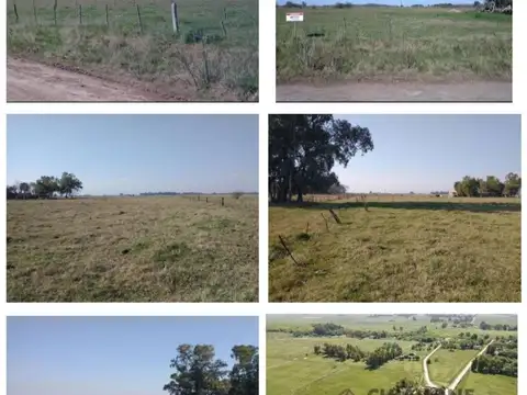 Terreno en Venta en Zapiola, USD 13.000