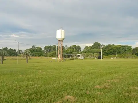 VENTA DE LOTES, COLONIA CAROLINA