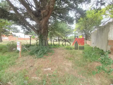 Cordoba entre Av. Tucumán y Sa 700