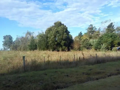 Campo en Venta de 15  ha