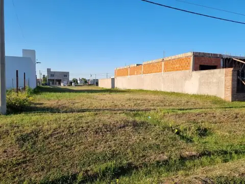 Campiñas de Piñero