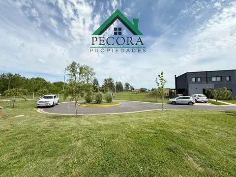 Terreno en Venta 30  mts Fondo